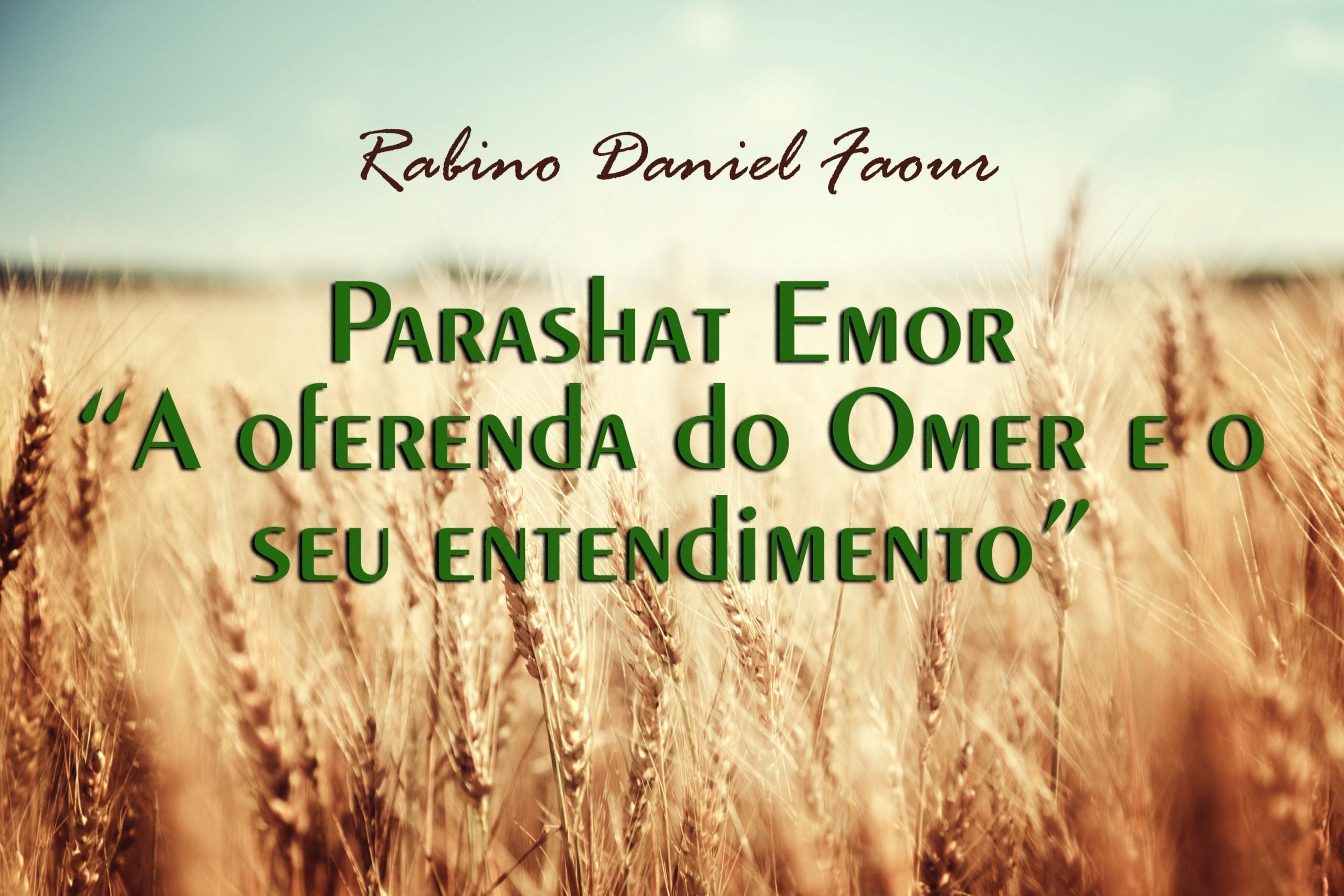 Parashat Emor - "A oferenda do Omer e o seu entendimento"