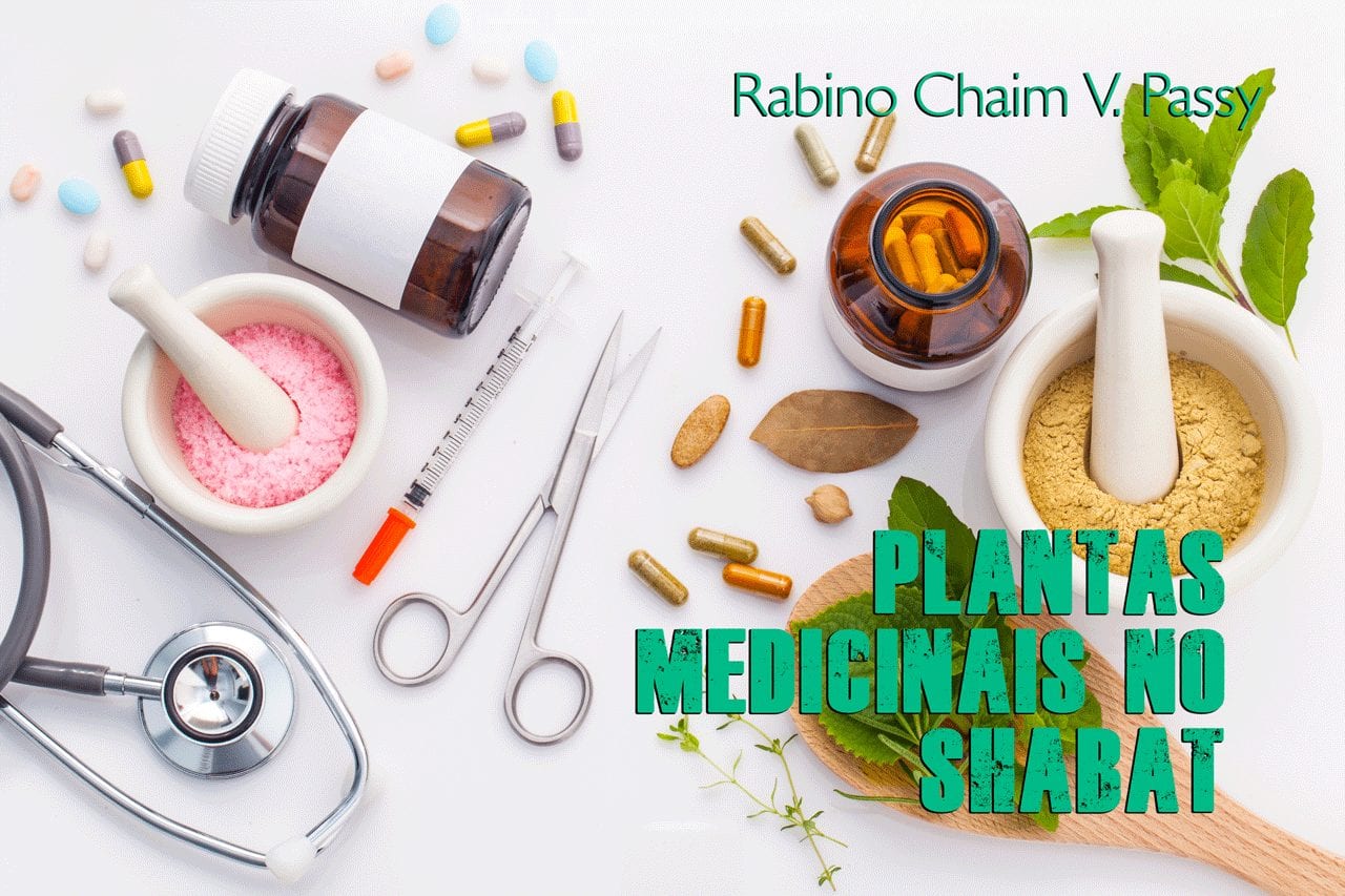 88 - Plantas medicinais no Shabat 