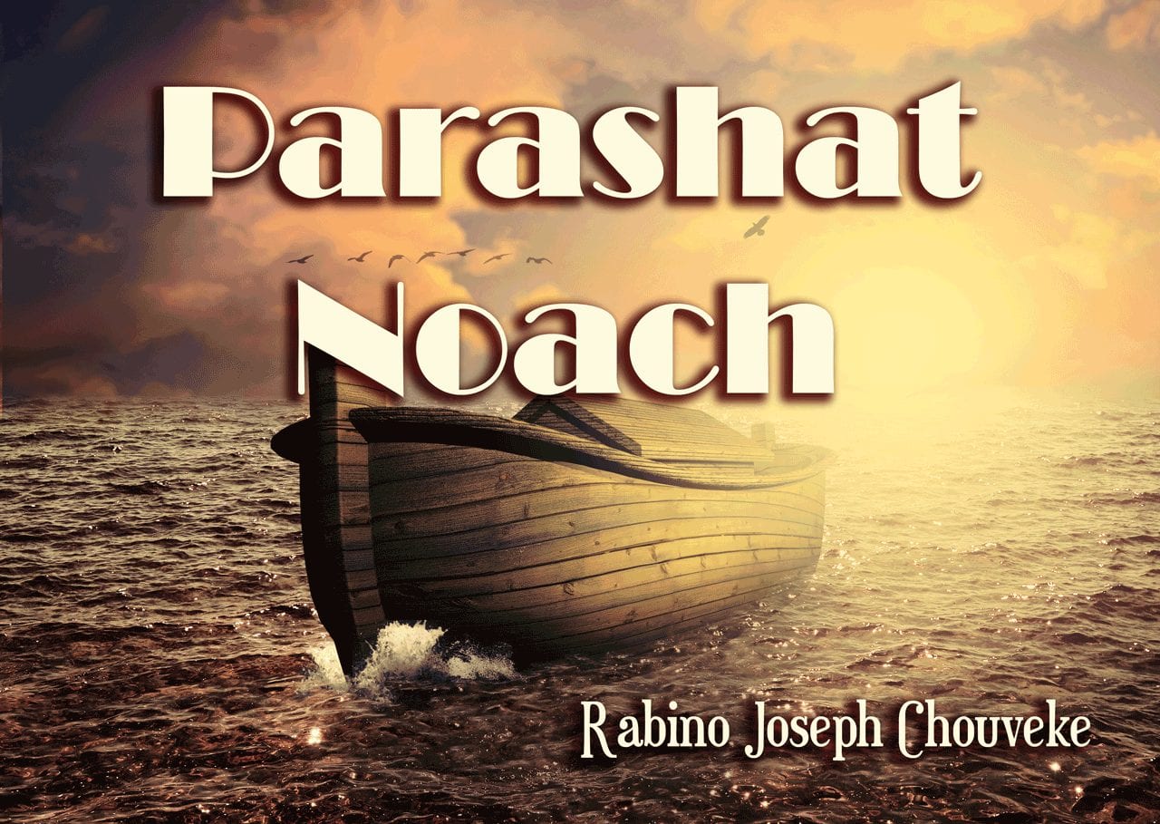 Parashat Noach